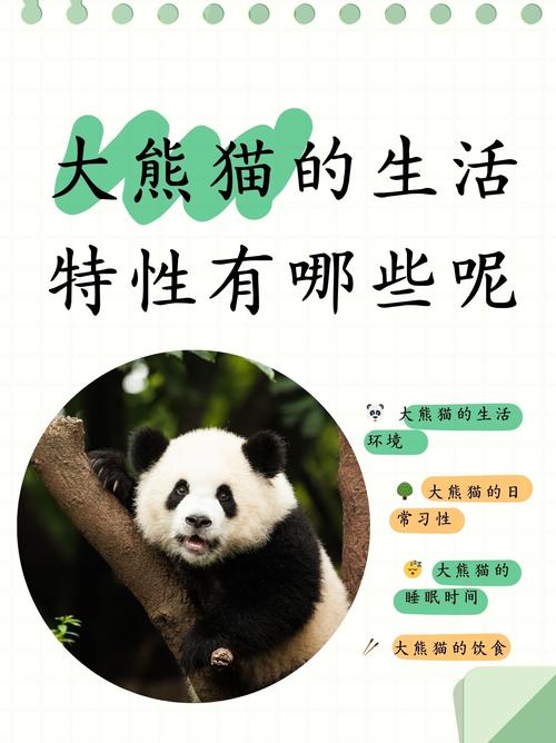 流氓熊猫的阅读方式