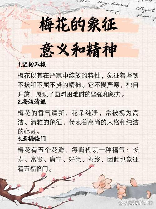 梅花的象征意义是什么