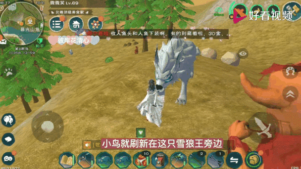 创造与魔法云斑鹦鸟刷新位置截图1