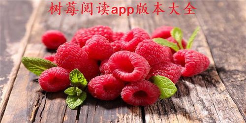 树莓阅读小说下载新版本