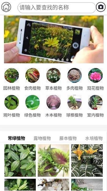 什么软件可以拍照识别植物截图3