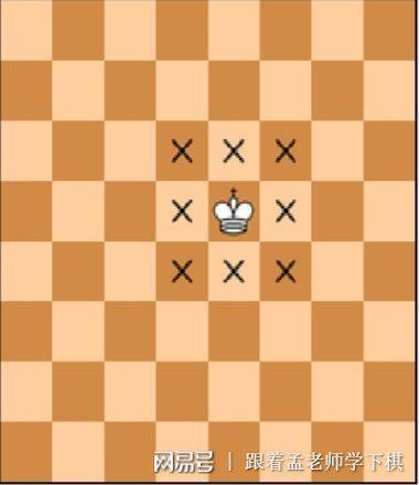 国际象棋王的走法