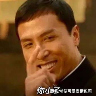 甄子丹指人表情包截图3