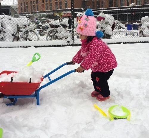 我们在什么的雪地上做什么
