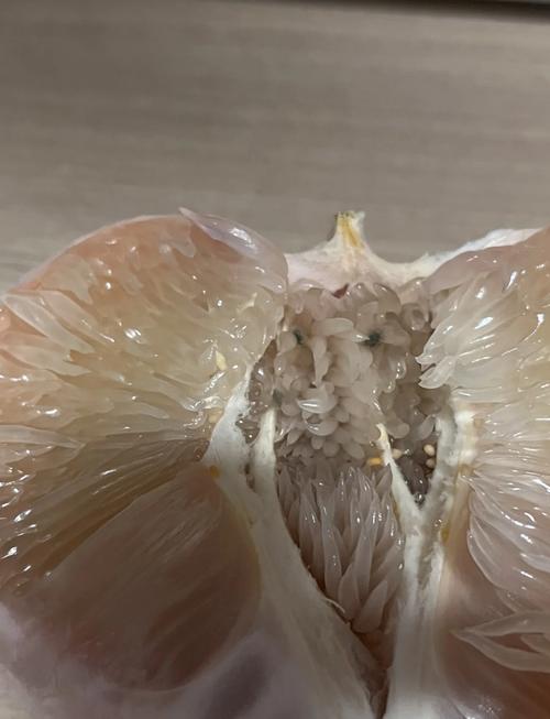 柚子有一点点发霉可以吃吗