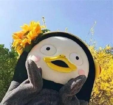 他趣实名认证后可以改头像吗