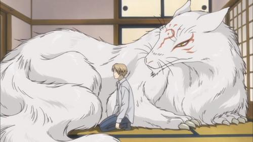猫老师的照片 猫老师的照片
