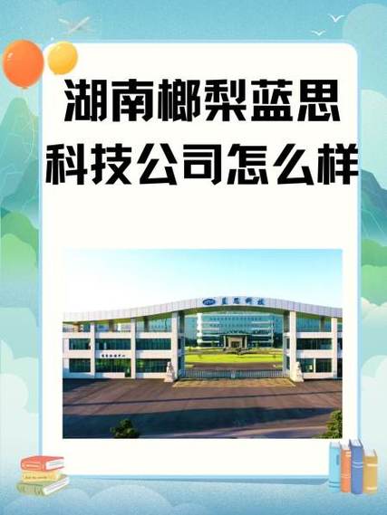 榔梨蓝思科技