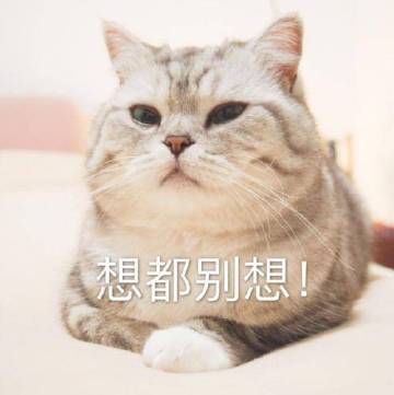 空空by猫小蓝全文免费阅读最新章节列