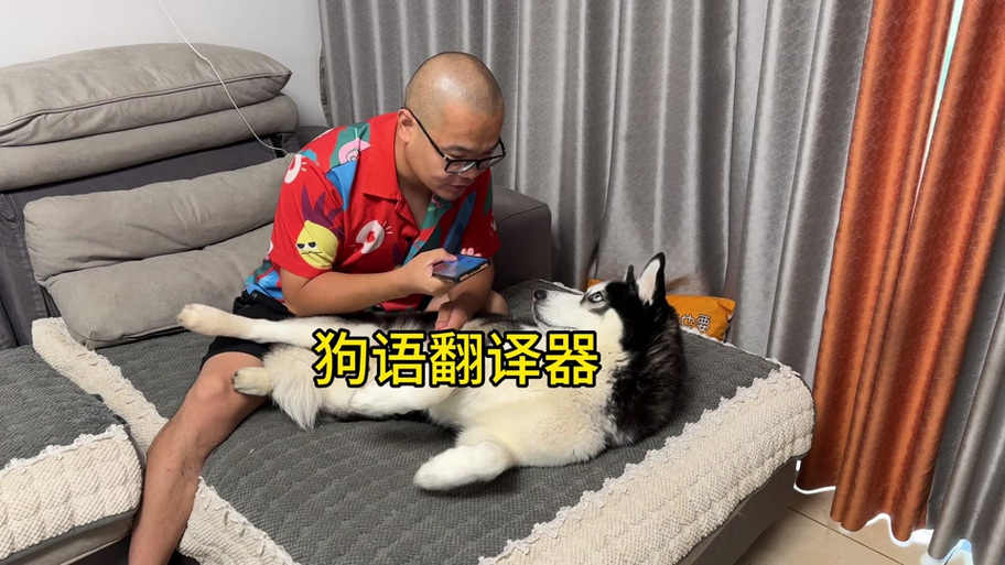 人与狗对话翻译的软件