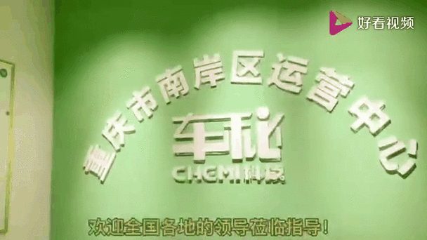 车秘和掌上车秘截图2