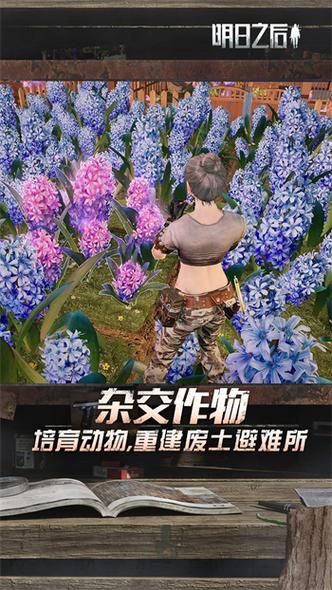 明日之后渠道服
