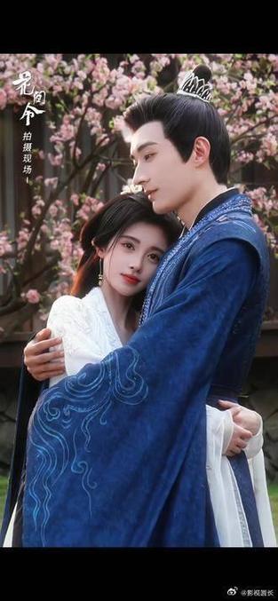 花落无声电视剧在线观看
