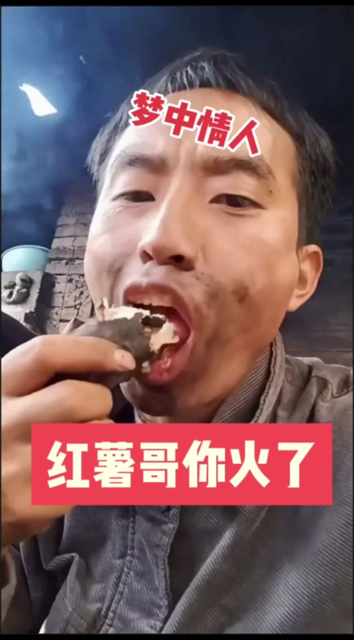 地瓜哥解说