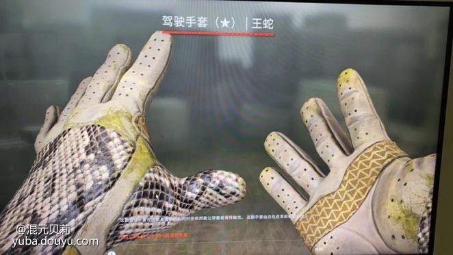 csgo王蛇手套配什么刀