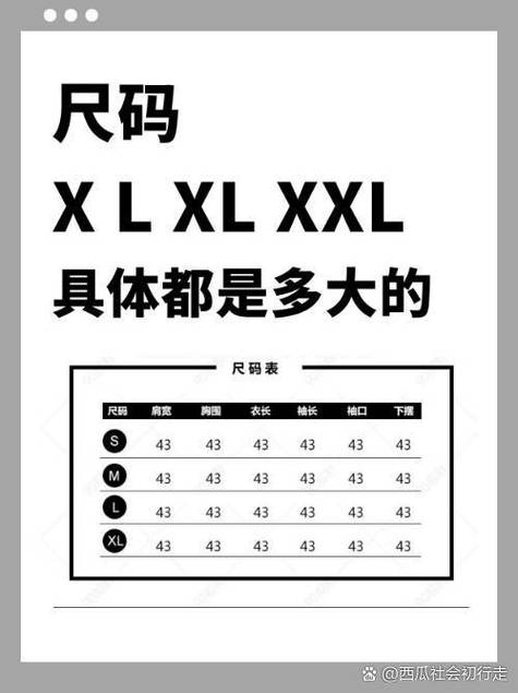 L尺码对应身高多少截图1