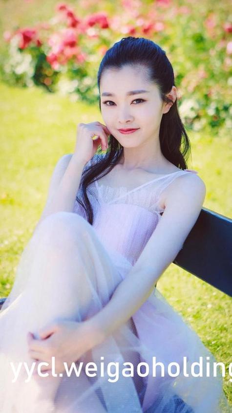 与小白猫的幸福贴贴生活游戏