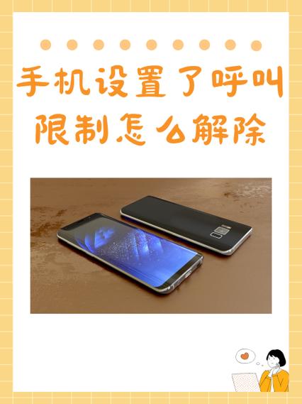 苹果呼叫限制在哪里解除截图2