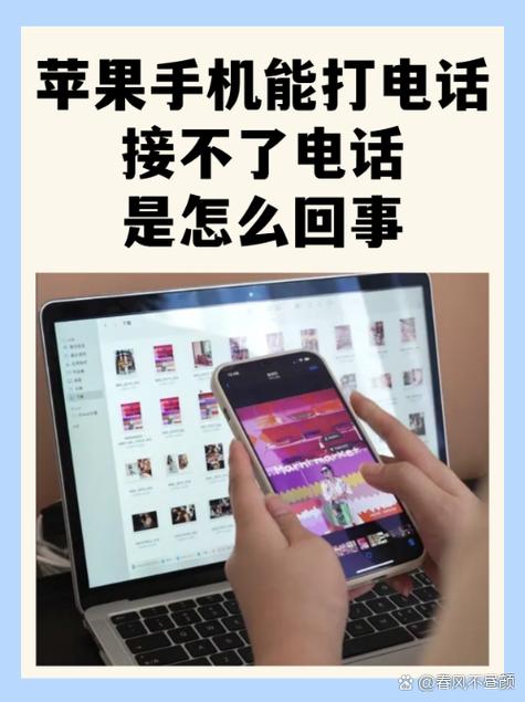 苹果呼叫限制在哪里解除截图3