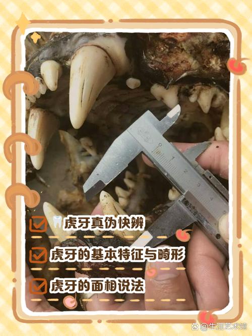 虎牙直播观看回放步骤
