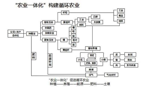 生态农业三种模式
