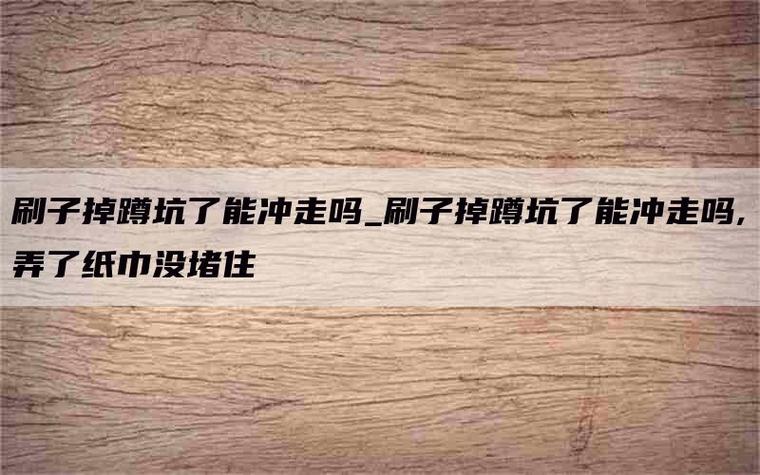 鞋刷掉进蹲坑怎样取出
