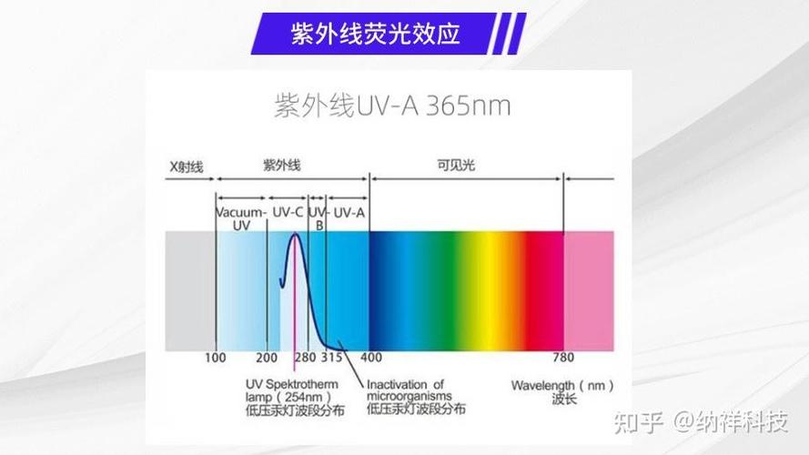 紫色的灯就是紫光灯吗