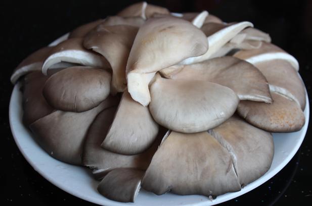 在家种蘑菇怎么样种最简单截图2