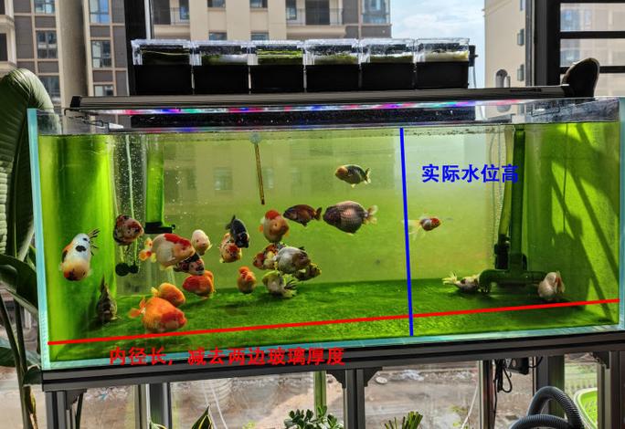 50鱼缸多少升水