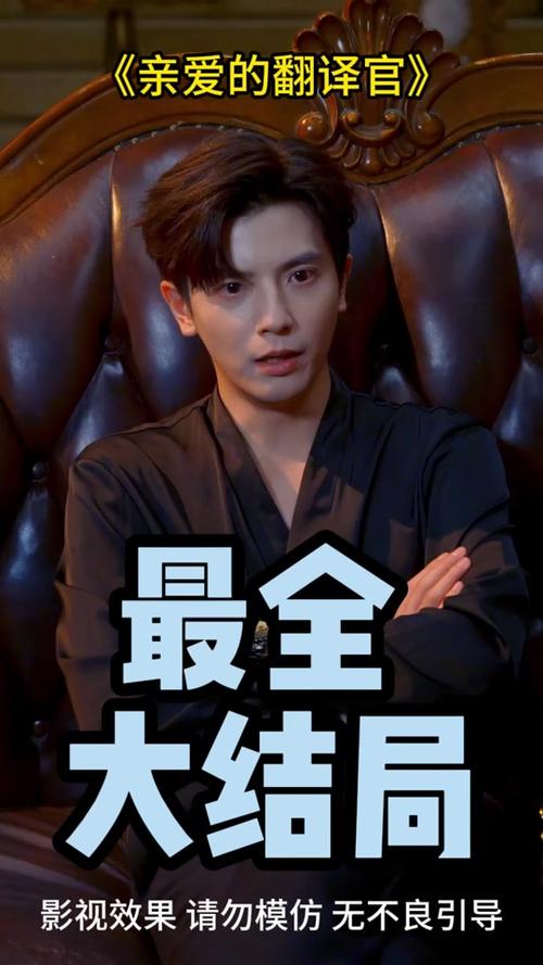 亲爱的翻译官何聪睿免费观看