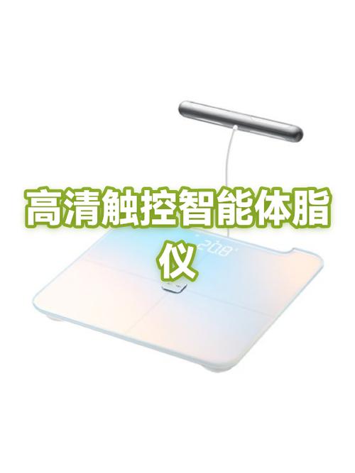 蓝牙体脂秤