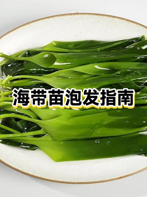 我的世界海带在哪儿找