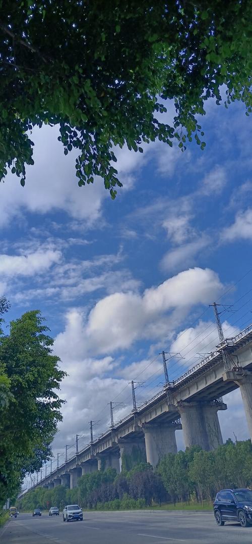 如果明天是晴天手机完整版下载