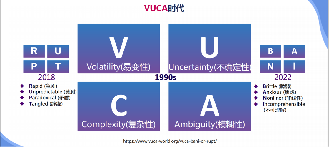 vuca时代