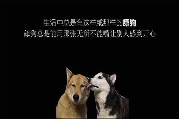 不当舔狗文案短句朋友圈