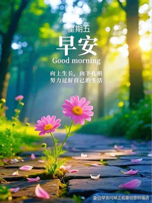 晨安是谁的作品截图1