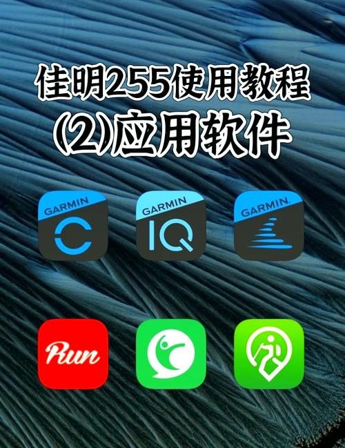 佳明和咕咚如何连接