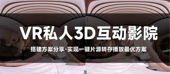 3D播插vR为什么显示没有网络