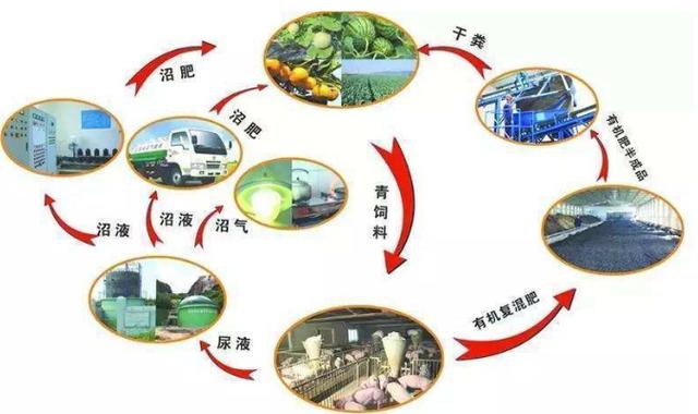 生态种植农业模式