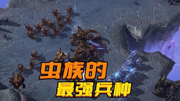 人族虫族神族的单机游戏