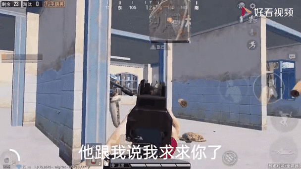 小灰灰直装包和平精英