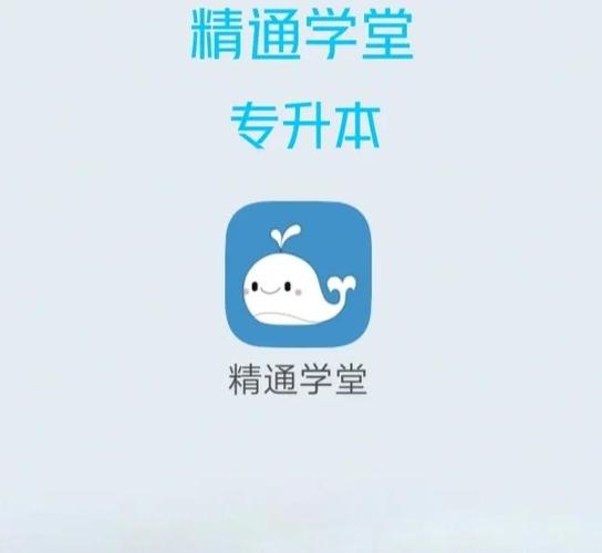 崽崽教程