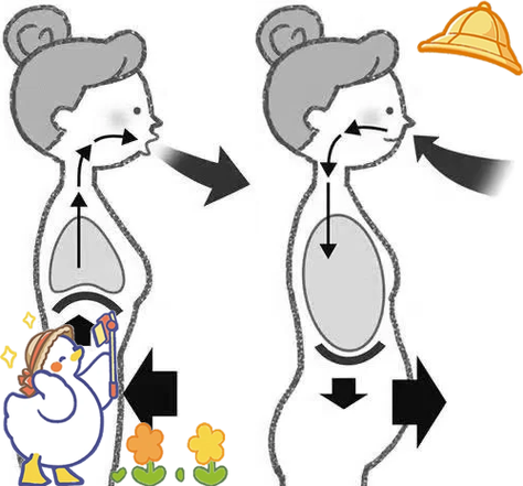 唱歌是横膈膜用力还是腹部用力?截图2