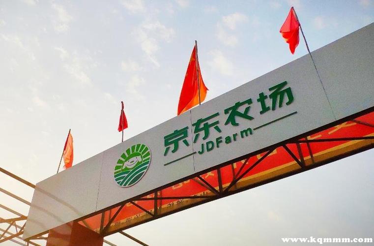 京东东东农场水果熟了没兑,现在去哪