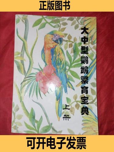 中大型鹦鹉