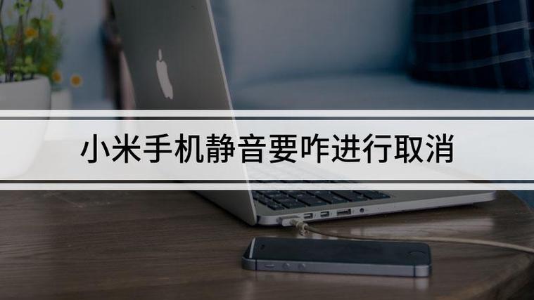 小米15手机静音打电话后静音就取消了截图2