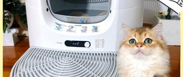 猫会找不到猫砂盆吗