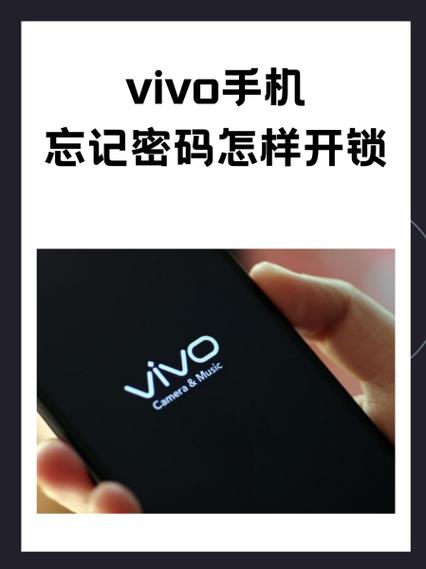 vivo的账户密码是多少 找回