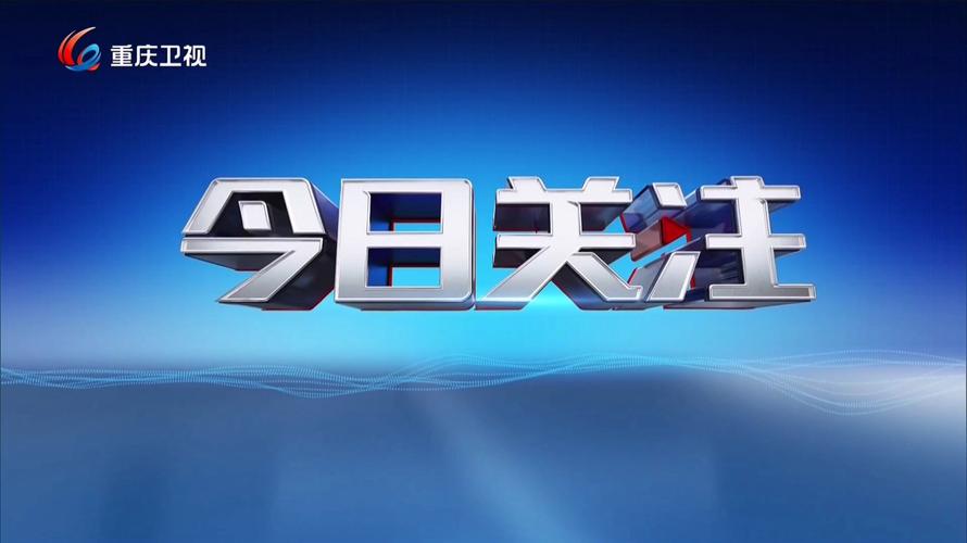 今日关注回看