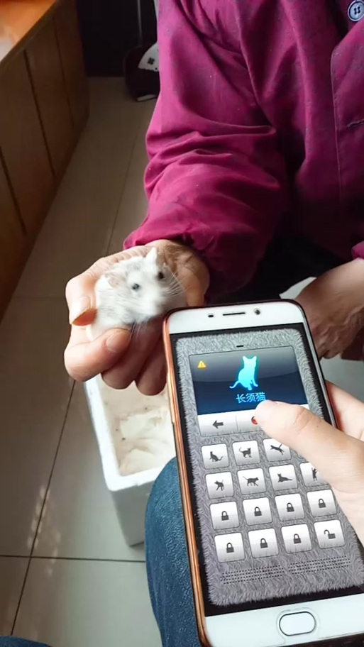 仓鼠语音转换器